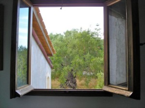 view back livingroom